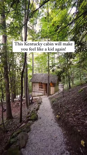 Who are you bringing with you? ✨ Escape to the enchanting Tradewinds Treehouse in Red River Gorge, Kentucky—a rustic dual-treehouse retreat nestled high in the forest canopy. Perched side by side like owls on a limb, these twin treehouses offer a unique blend of rustic charm and modern amenities, including full electricity, running water, heating, a private bathhouse, a slide, and a hot tub . With accommodations for up to eight guests, it’s the perfect getaway for families or groups seeking adve