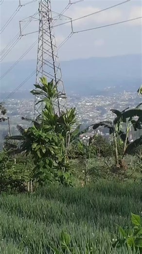 sekali kali cari suasana baru sambil menghilangkan penat dan capek ..