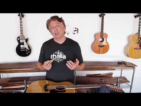 Introducing Taylor Pickguards by Thalia