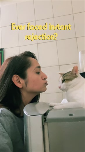 Riddhi Parmar on Instagram: "Baut Manana Padta Hai 🤦🏻‍♀️ (cats funny memes, everyday struggle memes, cat hates kissing memes, comedy content memes, cat funny videos, cat parents struggle, funny, relatable, foryou, fyp, explorepage, viral videos, trending, popular) #fypppppppppppppppppppppppppppppppppppppppppppppppppppppppppppppppppppppp #cats #explorepage #foryou #viralreels"