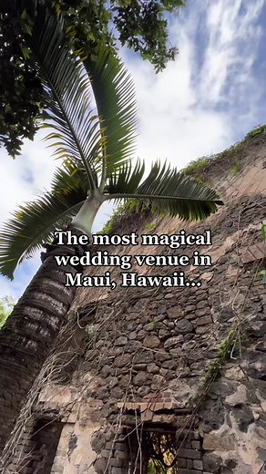 Dreamy Wedding Venues in Maui: Say 'I Do' in Paradise
