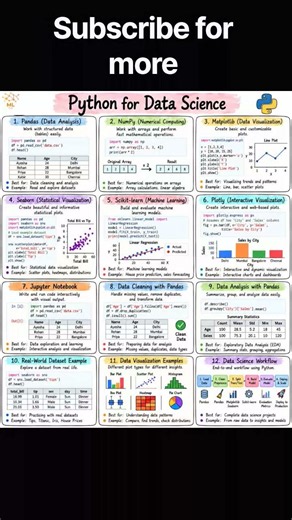 Python for Data Science: 12 Essential Libraries & Concepts Every Beginner Must Know 🚀
