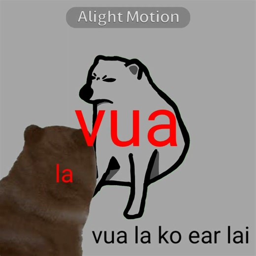 VUA LA KO BUS CUS 🔥🔥🔥