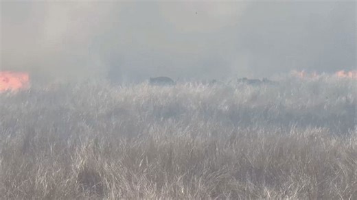 Thousands evacuate as wildfires rip through Oklahoma