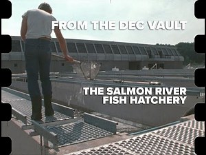 The Salmon River Fish Hatchery | 1981 | From the DEC Vault
