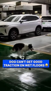 37K views · 229 reactions | He's slipping and sliding  | Daily Mail Video | Facebook