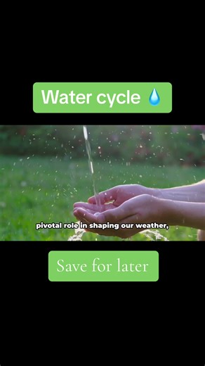 Understanding the Water Cycle: How Rain is Formed