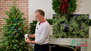 ColorChange LED Christmas Tree Collection - Treetime