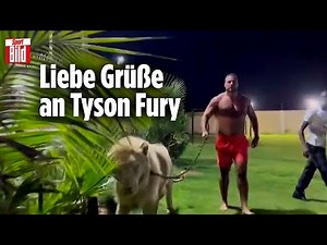 Irres Löwen-Video von Box-Star Mahmoud Charr