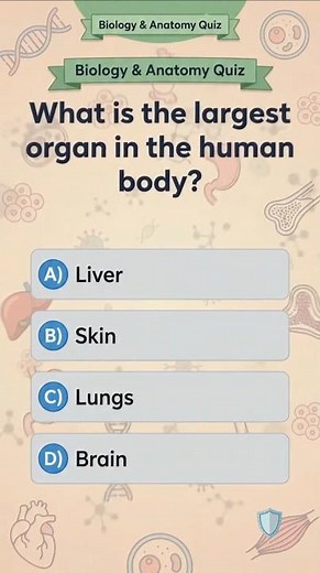 What is the largest organ in the human body?
