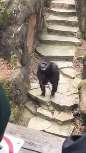 and out of nowhere, BOOM HEADSHOT 😅😅😅 | Gaming Stuff