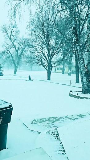 Tranquil Winter Scene with Snow-Covered Landscape