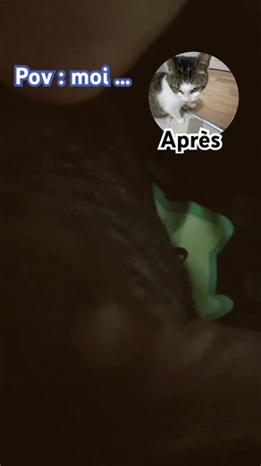 Il est trop mignon !!! # mon chat