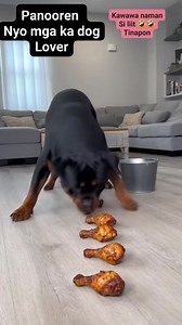 164 reactions · 12 shares | Kawawa si liit tinapon Panooren nyo guy's Smart talaga si big dog #animallover #ypシ゚viralシfypシ゚viralシalシr | Rose Moises Andrade | Facebook