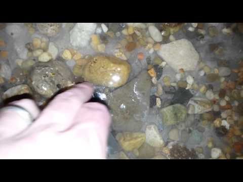 DIY-Casting a 3D Epoxy Resin over Pebbles and Rocks for a Shower Floor. 3rd layer. Part2