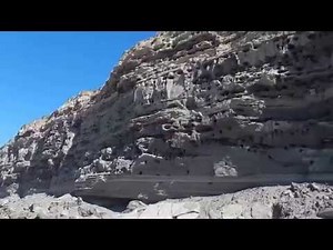 El Condor - Burrowing Parrots 2