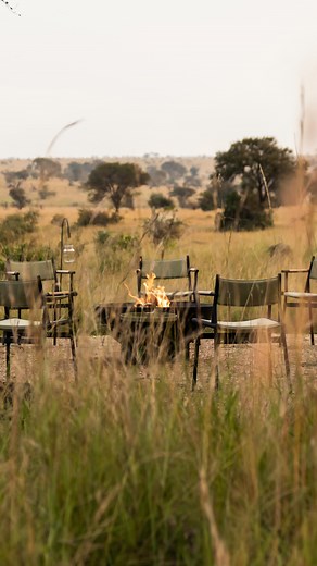 Singita on Instagram: "Over the next few weeks, as we build up to the arrival of migrating wildebeest herds to the remote Lamai triangle in the Serengeti, we will be sharing new photographs and African design stories from the reimagined Singita Mara River Tented Camp. Every year on 1 June, the camp reopens for its seven month long season but this year was different. Our camp team and first guests were met with a vibrant celebration of African design following an extensive and exciting redesign o