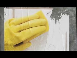 Mold Remediation Plan and Procedures