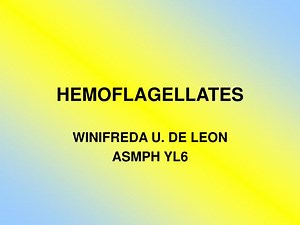 HEMOFLAGELLATES - SlideServe