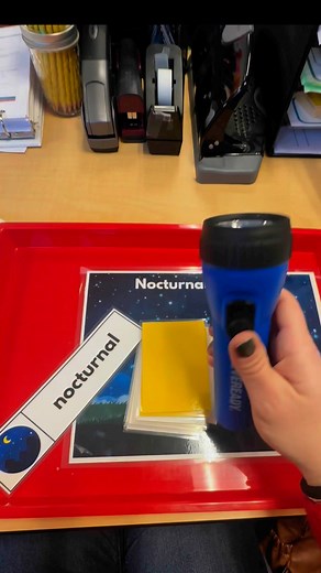 Explore how my preschool students learned about nocturnal animals with our popular flashlight card activity! 🌙🔦 We used special nocturnal animal flashlight cards that the kids illuminated with flashlights to reveal hidden creatures. Due to its success, I kept this activity out for an extra two weeks! It’s a fun, interactive way to engage with science. Check out this resource and more on my website, PreschoolVibes.com. | Preschool Vibes