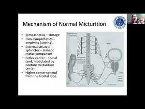 Urodynamics in toddlers by Dr Anita Patel
