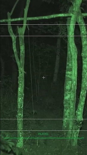 Alien Origin #shorts