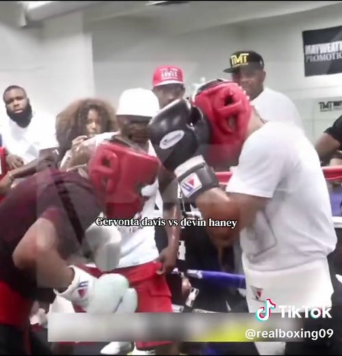 Gervonta Davis vs Devin Haney Boxing Match Overview
