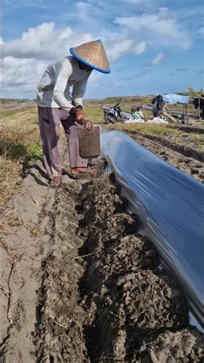 Smart ideas for caring for the garden with a tractor-Agriculture farming #shorts #easyfarming