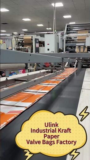 Industrial Kraft Paper Valve Bags Factory