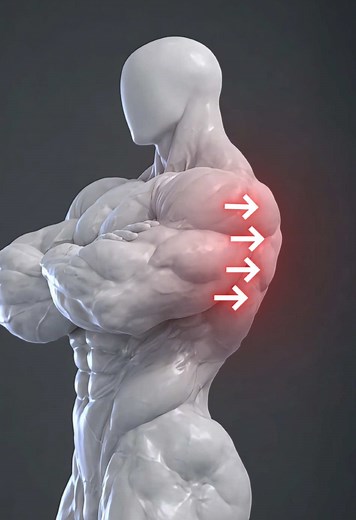 Your back isn’t wide or thick because you miss this 🧱📏 Train both. Build a complete back. #fitonomy #backworkout #lats #gymtips #hypertrophy