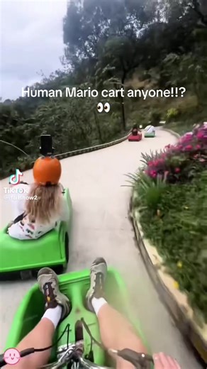 cryptostoobs (@cryprostoobs)’s videos with original sound - cryptostoobs