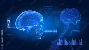 Brain concept - science medical display in loop with data