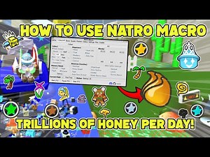 How to use NATRO MACRO in Roblox Bee Swarm Simulator!
