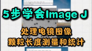 5步学会Image J处理电镜图像颗粒长度测量和统计