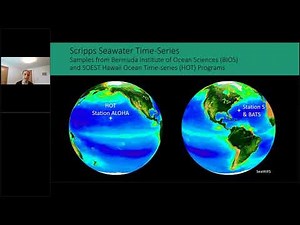 Upper ocean carbon cycle dynamics