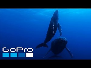 GoPro: The Raw Beauty of Our Planet Earth in 4K