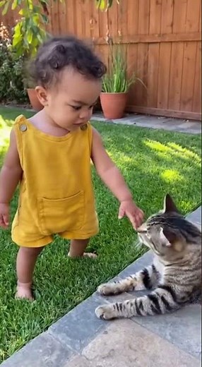 Baby vs Kitty: Tiny Boss 😼