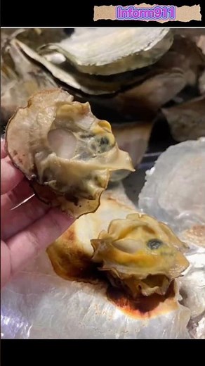 Bay ad/capiz shell/windows shell