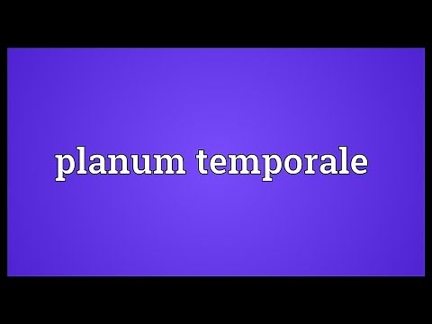 Planum temporale Meaning