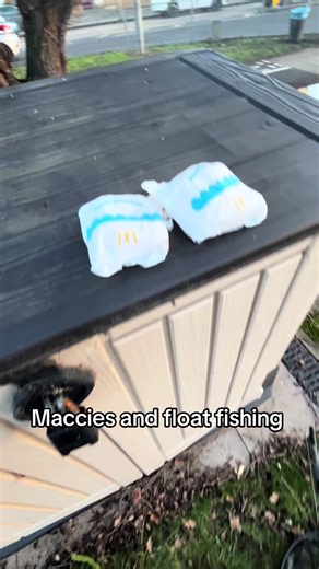 TKfishing (@fish_with_timurs)’s videos with original sound - bcfctyler7