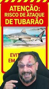 Risk of a series of shark attacks; do not enter the water where there are warnings and proximity.