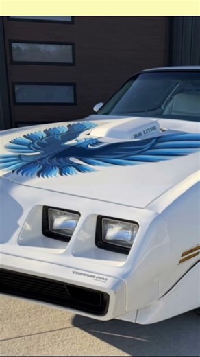 That Trans Am vibe 70’s