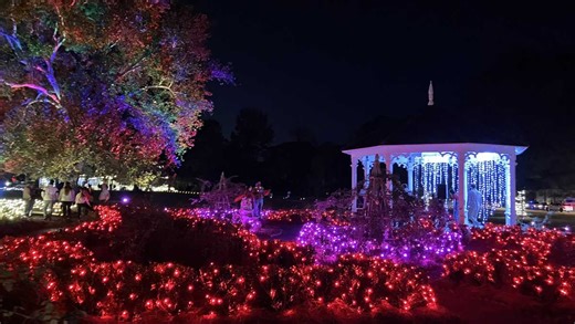 Christmas lights and displays bring holiday beauty to historic Madison area