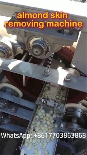 Almond Peeling Machine Test conatct: +8617703863868 #almond #peanutpeeling