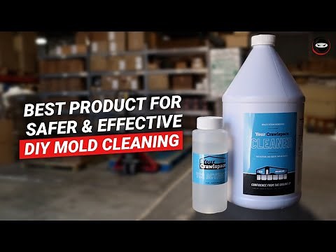 DIY Mold Cleaning | Best Safe & Effective DIY Mold Remover