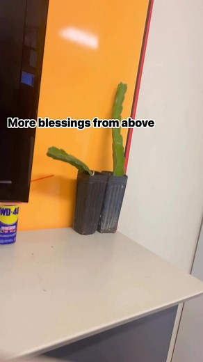 Tessie Obar on Reels