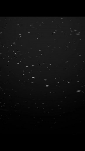 Collab with @_foxxies #springtrap #glamrockfreddy #fnaf #edit #fnafedit #fivenightsatfreddy #fivenightsatfreddys #videostar #fyp #viral