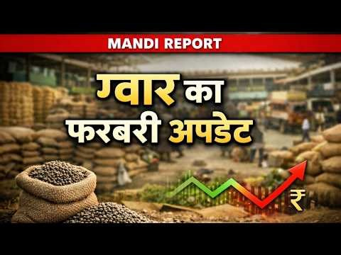 ग्वार का फरवरी अपडेट | भाव, मांग और बाजार संकेत (Data Based Guar Analysis Report)