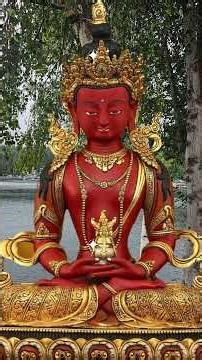 The Mantra Of Amitabha Buddha, Amitayus, Aida Phat, Om Ami Dewa Hrih #purelandbuddhism 阿彌陀佛