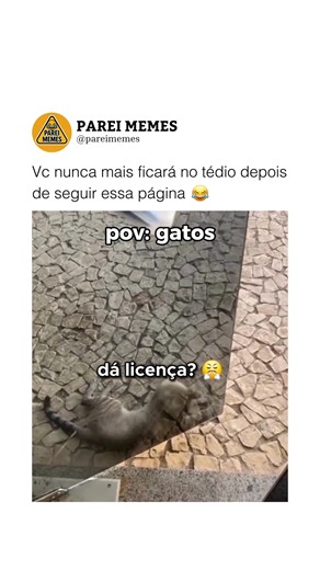 pareimemes on Instagram: "siga @pareimemes para mais 😂 Aqui vai uma receita clássica e deliciosa de moqueca de peixe: Ingredientes: • 1 kg de filé de peixe (robalo, badejo, cação ou outro de sua preferência) • Suco de 1 limão • Sal e pimenta-do-reino a gosto • 2 dentes de alho amassados • 2 tomates maduros em rodelas • 1 pimentão verde em rodelas • 1 pimentão vermelho em rodelas • 1 cebola grande em rodelas • 200 ml de leite de coco • 2 colheres (sopa) de azeite de dendê • 2 colheres (sopa) de 